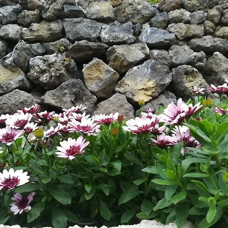 Guinderos Casa de Campo